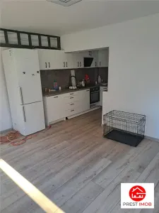 de vanzare casa 4 camere, 2 bai cu 400 mp teren, Panet, Mures - foto 1