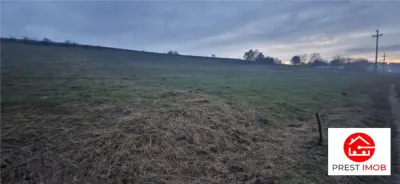 De vanzare teren 1,2 Ha in Laureni - foto 1