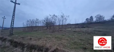 De vanzare teren 1,2 Ha in Laureni - foto 3