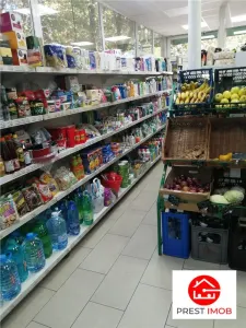 De inchiriat spatiu comercial in Aleea Carpati - foto 13
