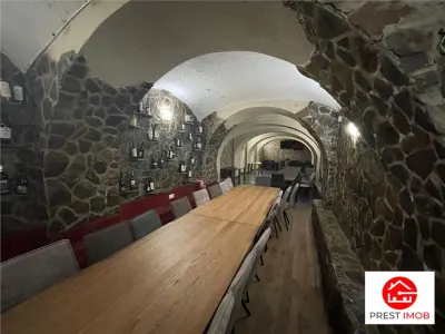 Spațiu comercial Târgu Mureș - poza 8