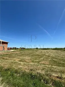 Doua Terenuri- MOSNITA NOUA- 780 mp - foto 1