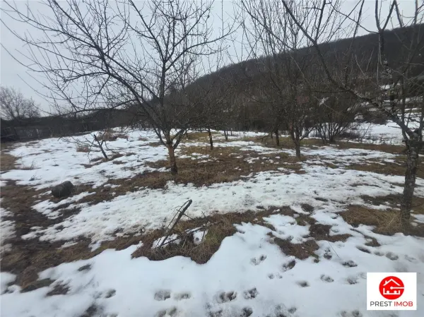 Teren Sovata - poza 5