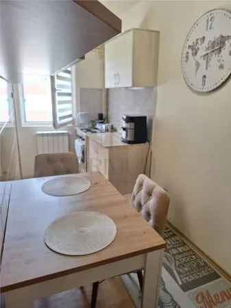 Apartament 1 camera Timișoara - poza 4