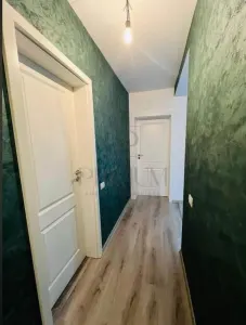 Mosnita Veche - Duplex pe parter - Compartimentare excelenta - - foto 4