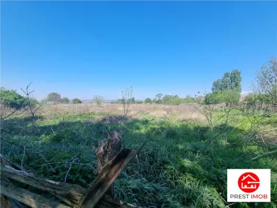 Teren intravilan de vanzare 14900 mp, 43m deschidere  Mureseni, Mures - foto 10