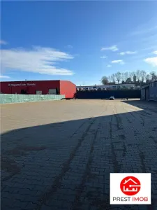 De inchiriat parcare amenajata, Gh.Doja - foto 2