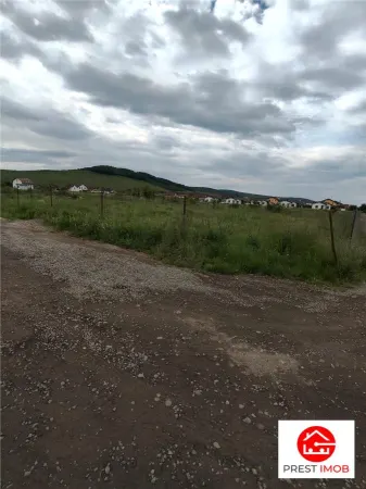 Teren Sângeorgiu de Mureș - poza 3