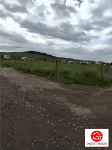 Teren Sângeorgiu de Mureș - poza 3