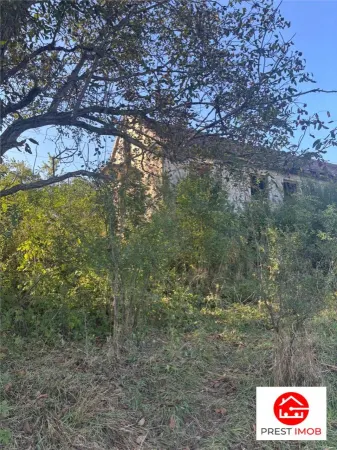 Casă 4 camere Sighișoara - poza 3
