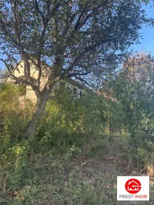 Conac in paragina - foto 4