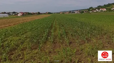Teren Sântana de Mureș - poza 2