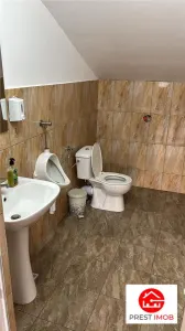 De vanzare spatiu comercial cu teren de 80 arii, Santioana, Jud Mures - foto 17