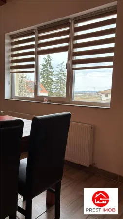 Spațiu comercial Santioana de Mures - poza 23