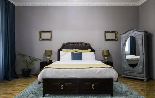 Apartament 2 camere Timișoara - poza 7