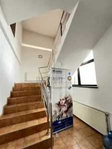 MIRCEA CEL BATRAN - CASA INDIVIDUALA + TEREN GENEROS - SAD - INVESTITIE UNICA - foto 2