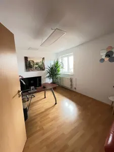 MIRCEA CEL BATRAN - CASA INDIVIDUALA + TEREN GENEROS - SAD - INVESTITIE UNICA - foto 11