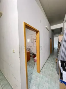 MIRCEA CEL BATRAN - CASA INDIVIDUALA + TEREN GENEROS - SAD - INVESTITIE UNICA - foto 9