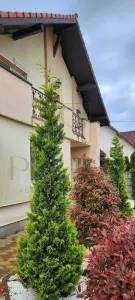 Casa individuala - zona excelenta - mobilata - curte amenajata superb - iaz - foto 2