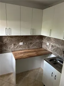 Garsoniera-Buziasului-Renovata-Confort 1 - foto 7