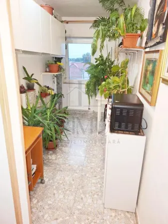 Apartament 1 camera Timișoara - poza 3