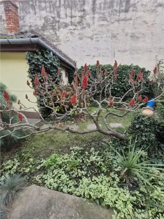 Casă 6 camere Timișoara - poza 25