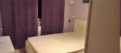 LIPOVEI - 3 CAM - DECOMANDAT - ANVELOPAT - BOXA - CENTRALA - foto 5