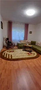 FREIDORF | CASA INDIVIDUALA | 3 CAMERE | RENOVATA | GRADINA | CENTRALA | ANVELOPATA | POD - foto 1