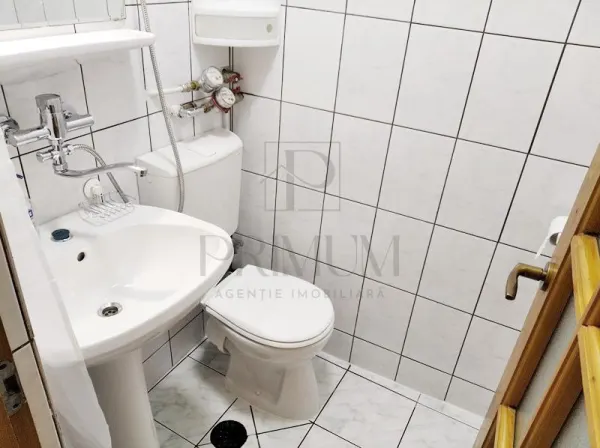 Apartament 1 camera Timișoara - poza 7