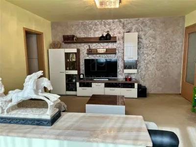 SPITALUL JUDETEAN - PARTER - BLOC IZOLAT - 3 CAMERE - BALCON - CENTRALA PROPRIE - BOXA - foto 9