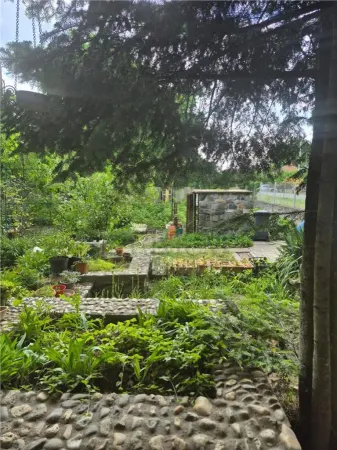 Casă 4 camere Timișoara - poza 5