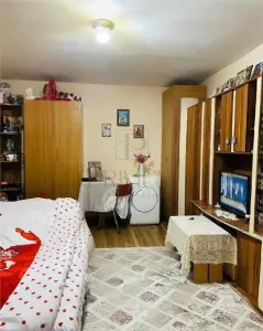 Apartament 1 camera-Centrala-Buziasului-Acoperis - foto 4