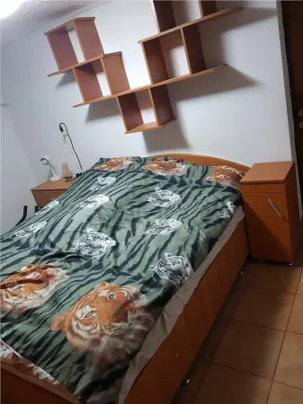 Casă 4 camere Timișoara - poza 3