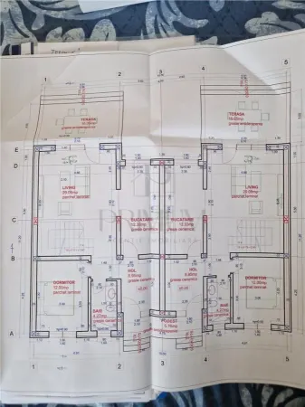 Casă 4 camere Moșnița Nouă - poza 4