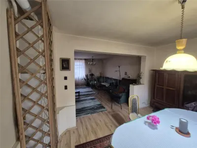 CALEA BUZIAS, 2 CASE INDIVIDUALE CU TEREN GENEROS - foto 6