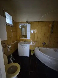 CALEA BUZIAS, 2 CASE INDIVIDUALE CU TEREN GENEROS - foto 7