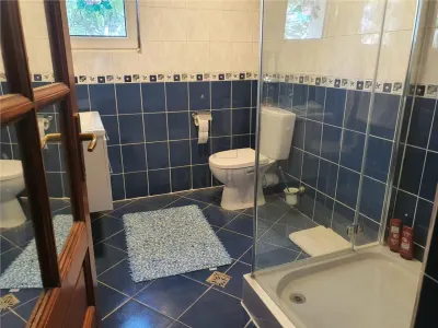 CALEA SAGULUI, OPORTUNITATE DE INVESTITIE CASA INDIVIDUALA CU SAD (SPATIU ALTA DESTINATIE) INCLUS - foto 11