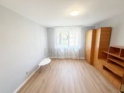 BUZIASULUI - 1CAMERA - RENOVATA - ETAJ INTERMEDIAR - PRETABIL INVESTITII - foto 2