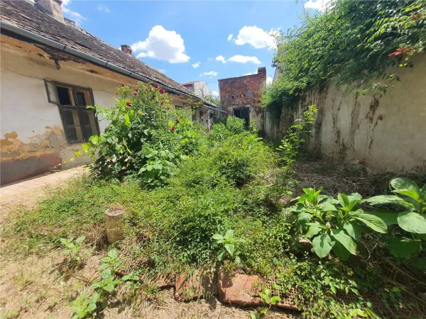 Casă 5 camere Timișoara - poza 7