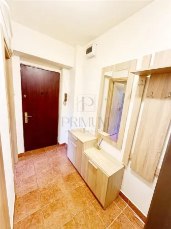 Apartament 1 camera Timișoara - poza 4