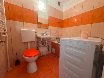 Apartament 1 camera-Etaj Intermediar-Girocului - foto 9