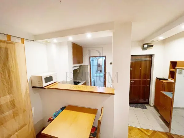 Apartament 1 camera Timișoara - poza 5