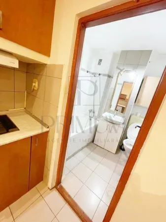 Apartament 1 camera Timișoara - poza 7