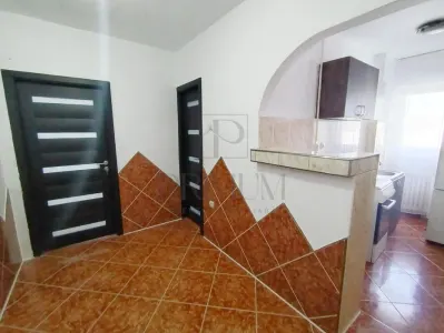 Apartament 1 camera Timișoara - poza 4