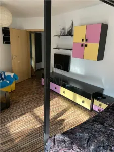 Apartament 1 camera-Aradului-Centrala-Ac-Terasa - foto 3