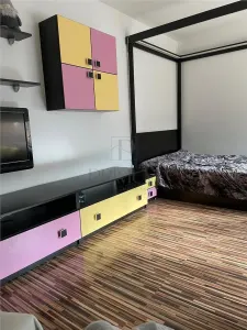 Apartament 1 camera-Aradului-Centrala-Ac-Terasa - foto 6