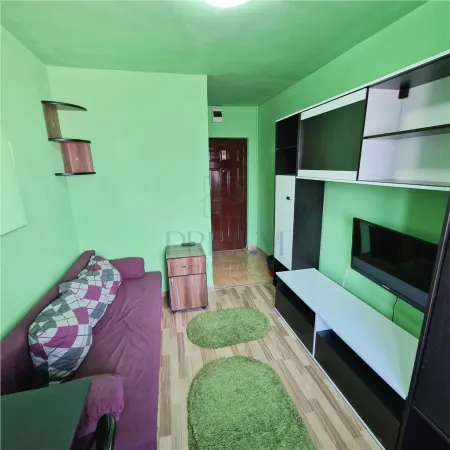 Apartament 1 camera Timișoara - poza 2