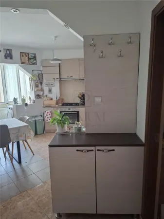 Apartament 2 camere Timișoara - poza 3
