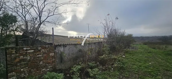 Teren Palazu Mare - poza 3
