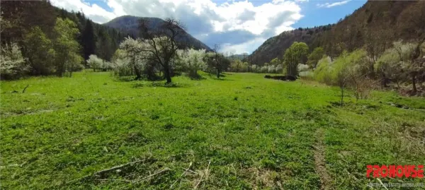 Teren Bacău - poza 1